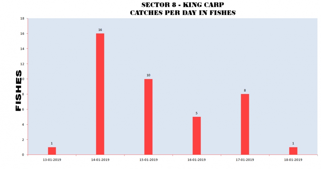 SECTOR 8 - CATCHES PER DAY FISHES