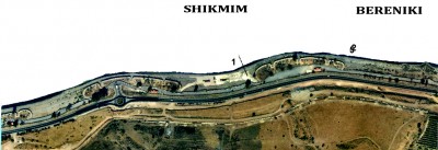 shikmim 25-01-2020.jpg