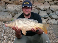 Carp1