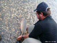 Carp3